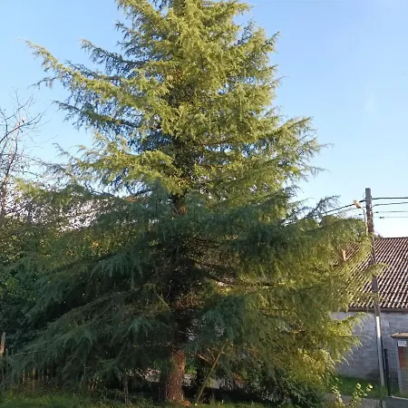 La Petite Maison Mettet Vakantiehuis *